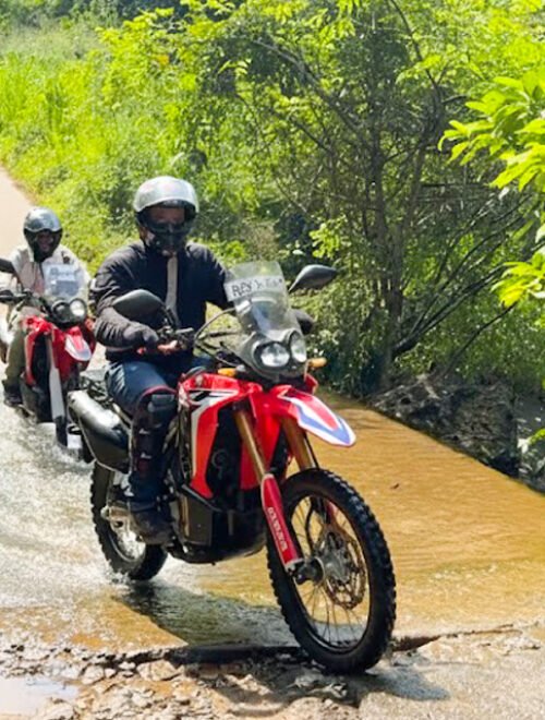 Jungle Fury – 14 Day Tours