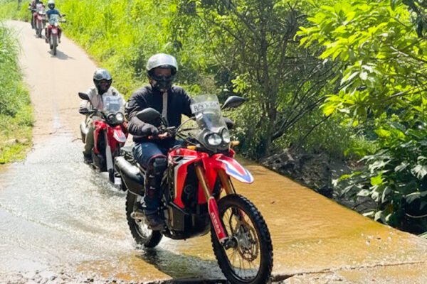 Jungle Fury – 14 Day Tours